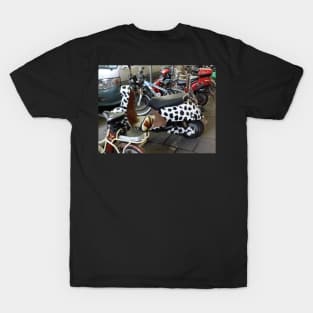 Cow scooter T-Shirt